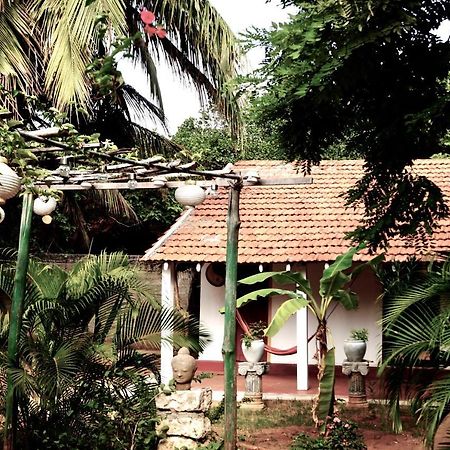 Allens Home Stay 贾夫纳 外观 照片