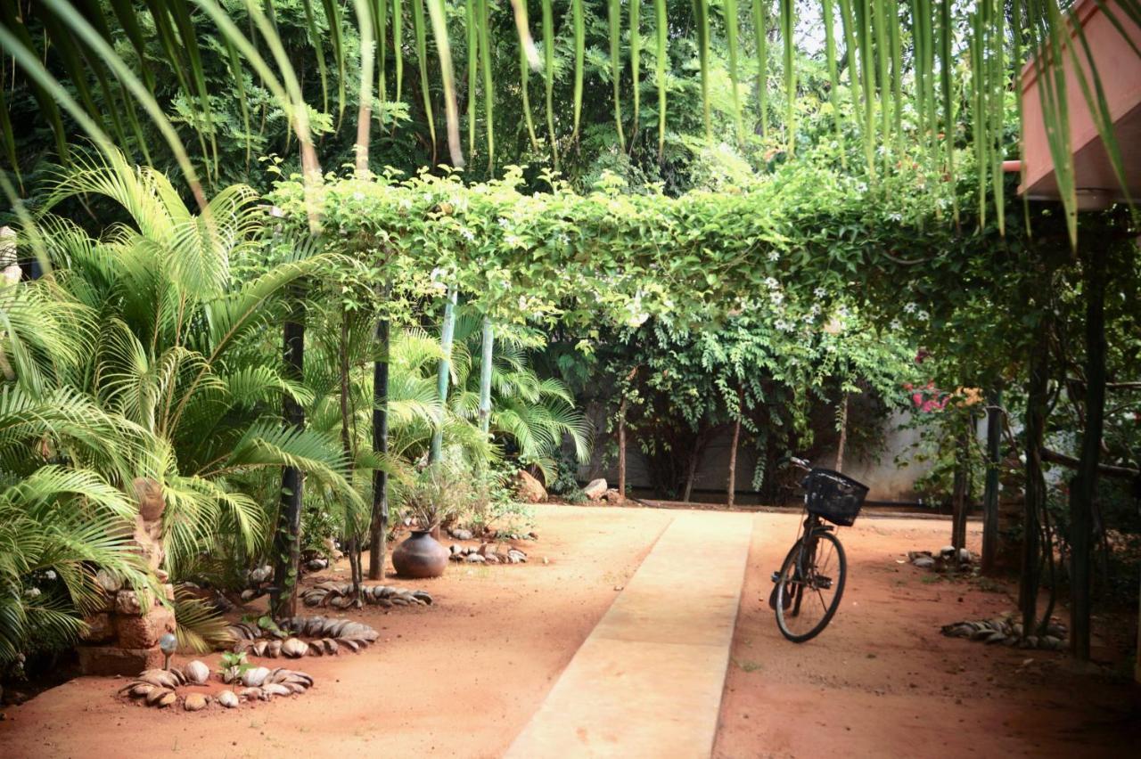 Allens Home Stay 贾夫纳 外观 照片